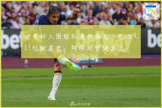 世界杯入围球队身价排名：巴西9.15亿欧居首，阿根廷紧随其后
