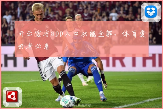 开云官方app入口功能全解，体育爱好者必看